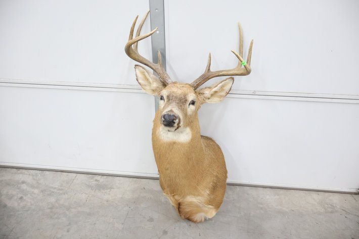 Image for Cold Springs Gallery #4162