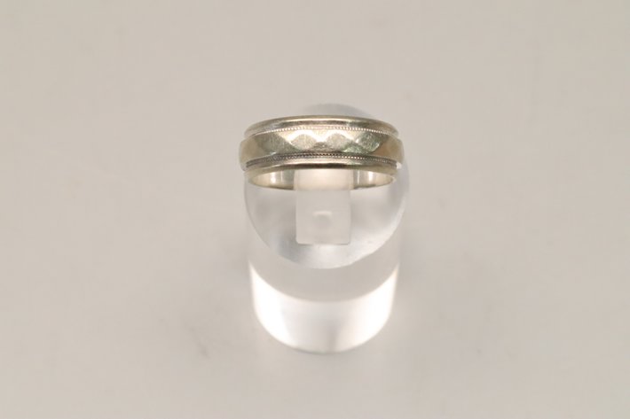 Image for Hidden Treasures Gallery #3165