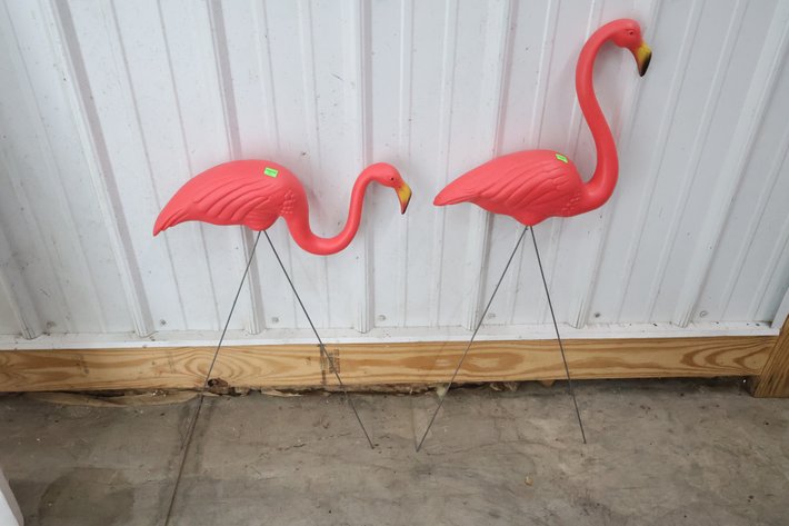 Image for Cold Springs Gallery #4164