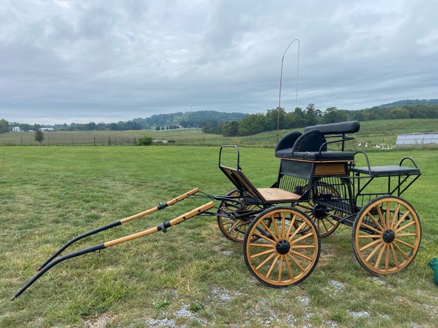 Image for Tinkling Spring Gallery #189