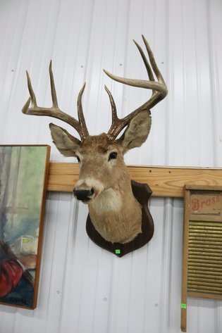 Image for Cold Springs Gallery #2092