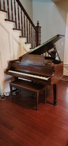 Image for Hidden Treasures Gallery #3092