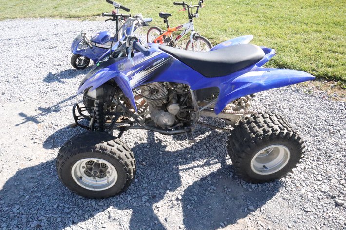 Image for Tinkling Spring Gallery #196