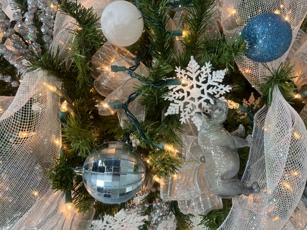 Image for Avenue of Evergreens - ACA Fundraiser Auction