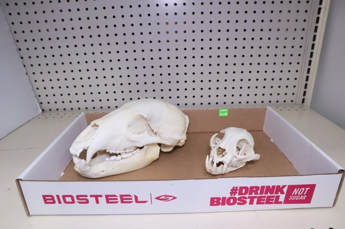 Image for Cold Springs Gallery #2108