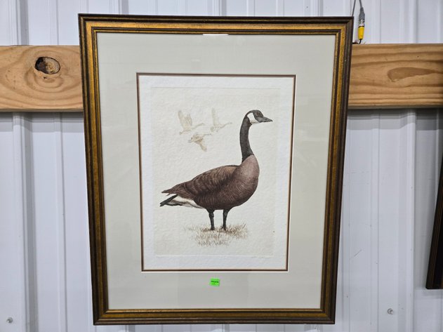 Image for Cold Springs Gallery #2108