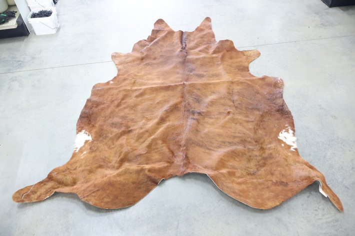 Image for Cold Springs Gallery #2112