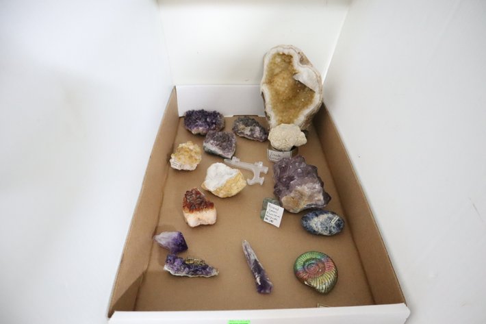 Image for Hidden Treasures Gallery #3121