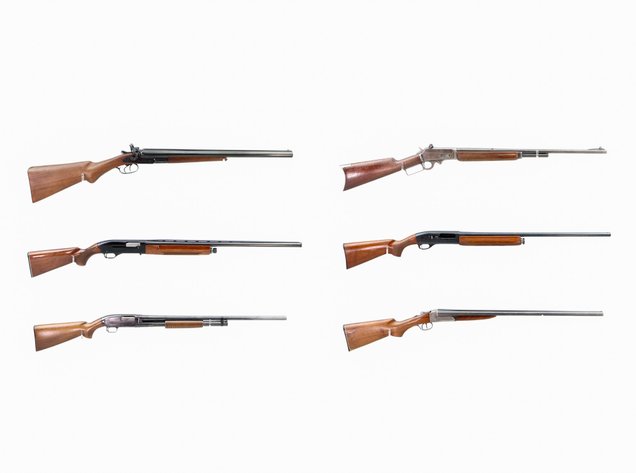 Image for Firearms - October 2025