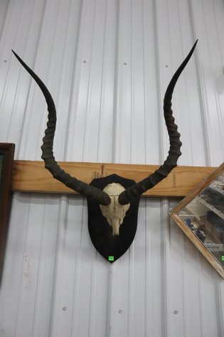 Image for Cold Springs Gallery #2142