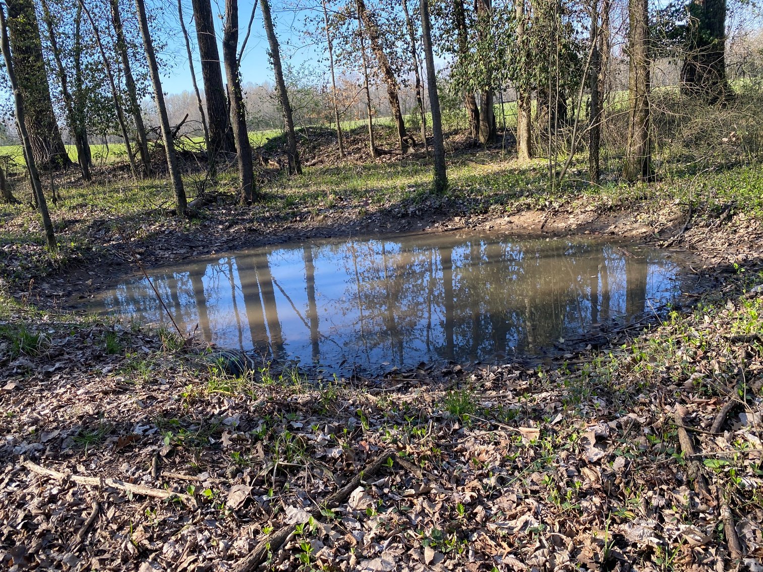 Image for Absolute Estate Auction • 897 S. Franklin ST, Karnak, IL