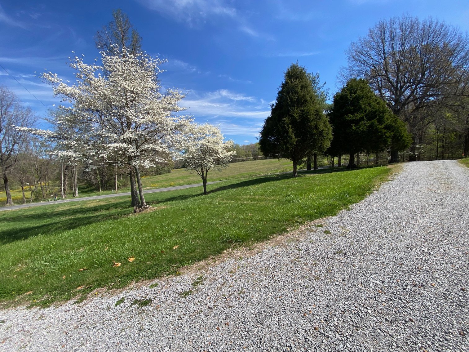 Image for ABSOLUTE ESTATE AUCTION • 9400 Childress Road, West Paducah, KY