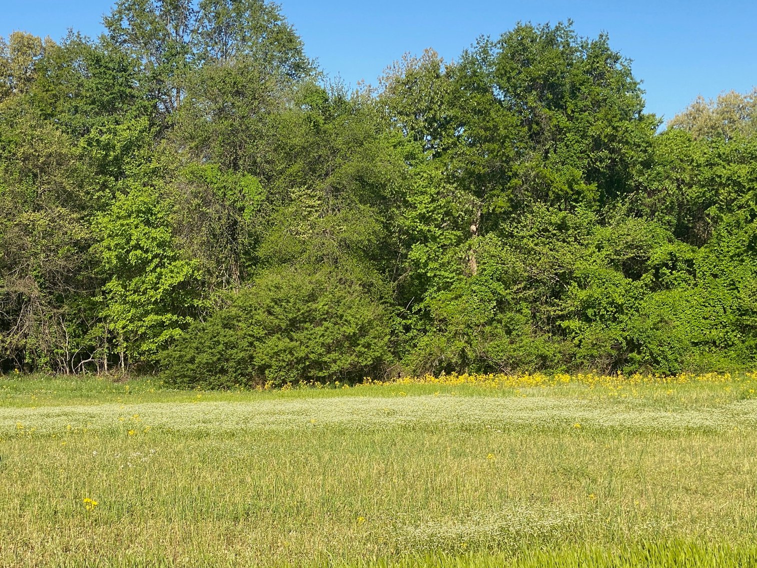 Image for ABSOLUTE ESTATE AUCTION • 9400 Childress Road, West Paducah, KY