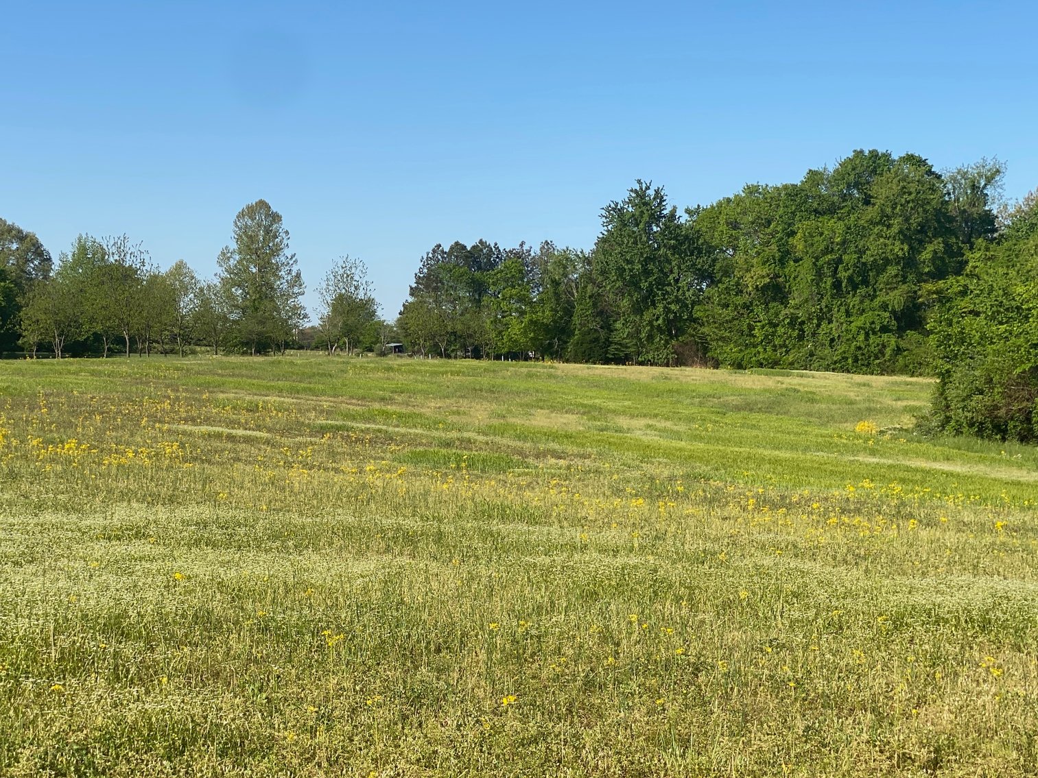 Image for ABSOLUTE ESTATE AUCTION • 9400 Childress Road, West Paducah, KY