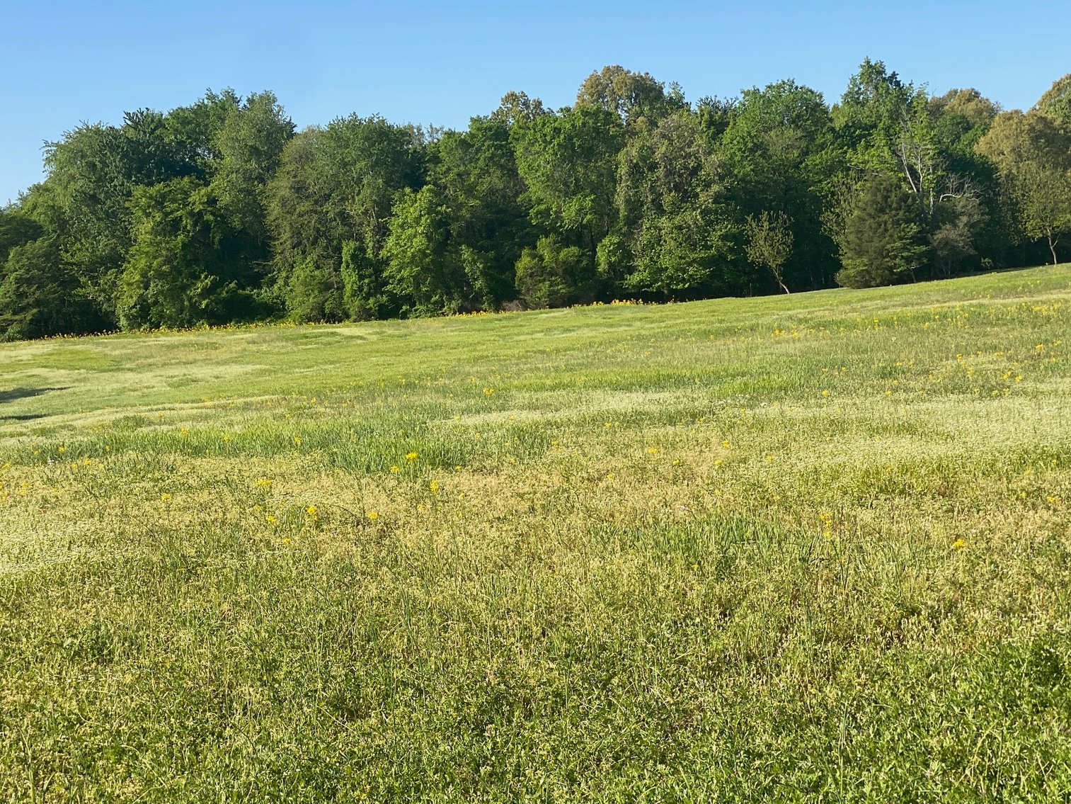 Image for ABSOLUTE ESTATE AUCTION • 9400 Childress Road, West Paducah, KY