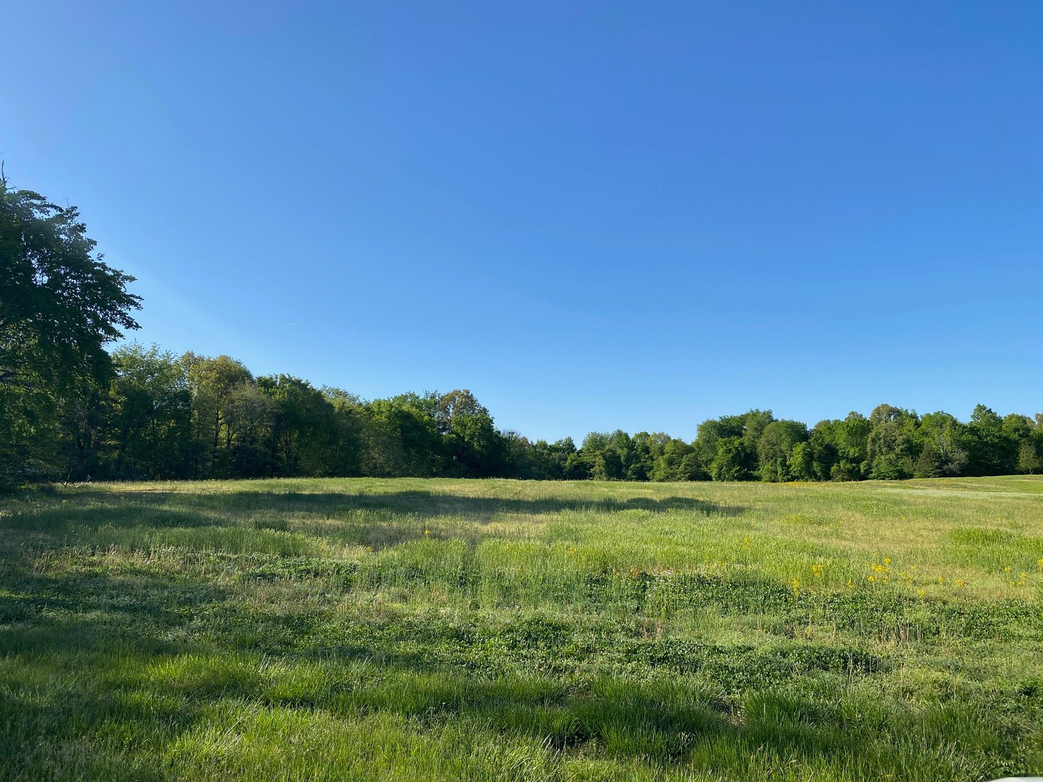 Image for ABSOLUTE ESTATE AUCTION • 9400 Childress Road, West Paducah, KY