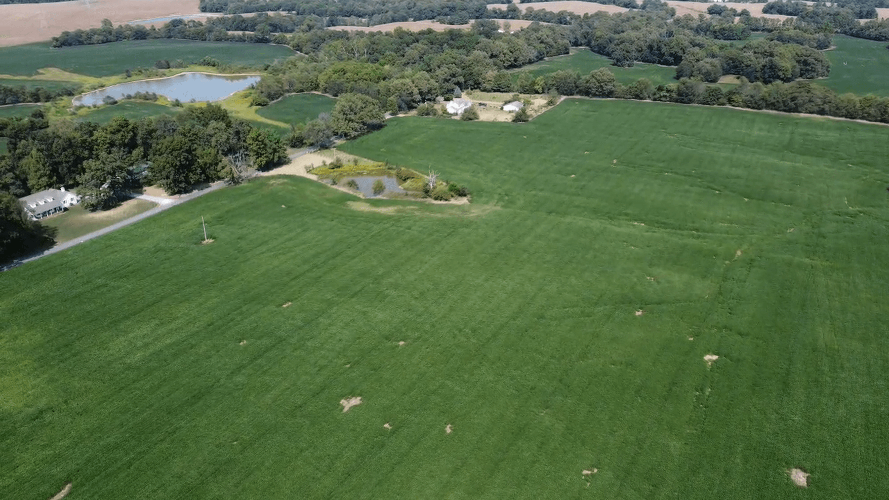 Image for Absolute Auction • 9/26/24 • 5:07 PM