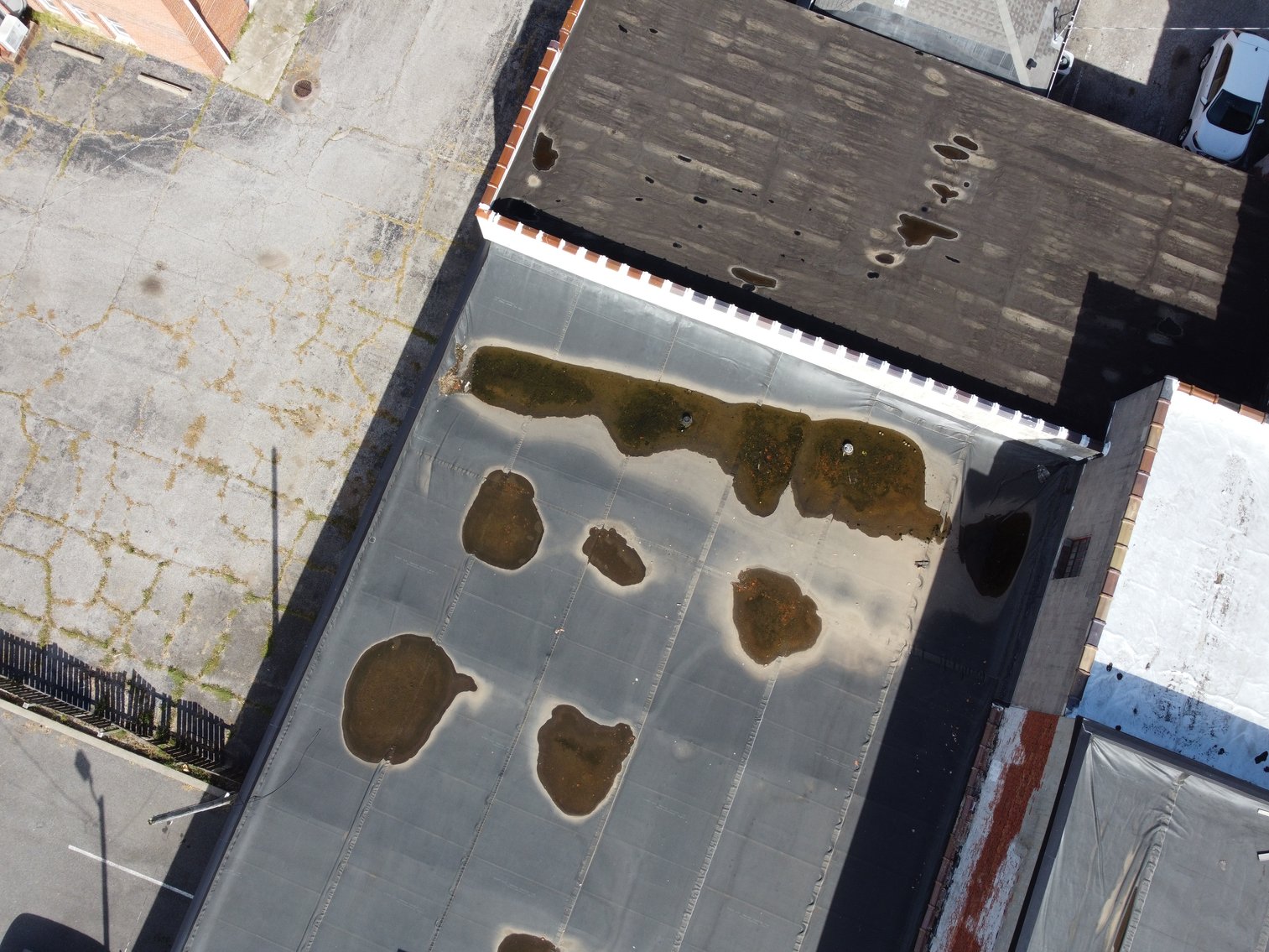 Image for Auction • 10/17/24