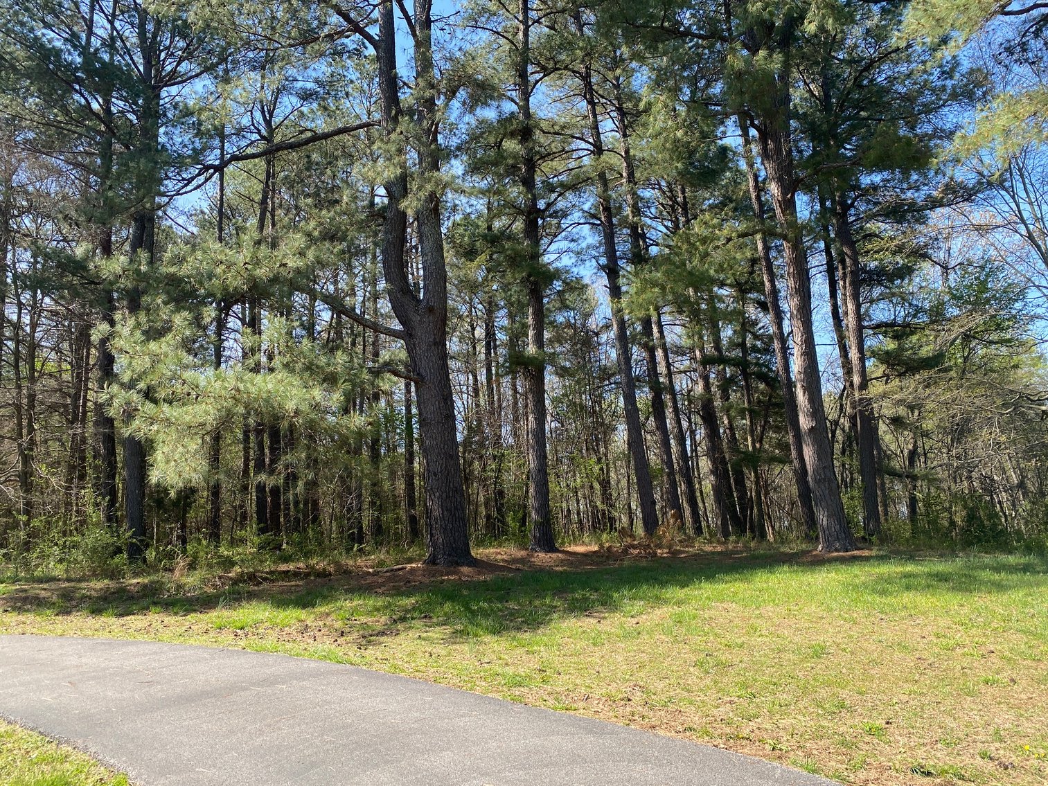 Image for Absolute Estate Auction-10091 Scale Road, Benton, KY