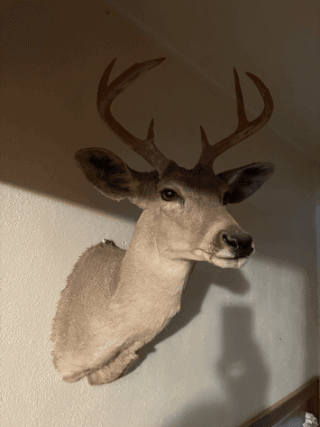 Image for Gates Estate~127 N 9th~Kiowa, KS