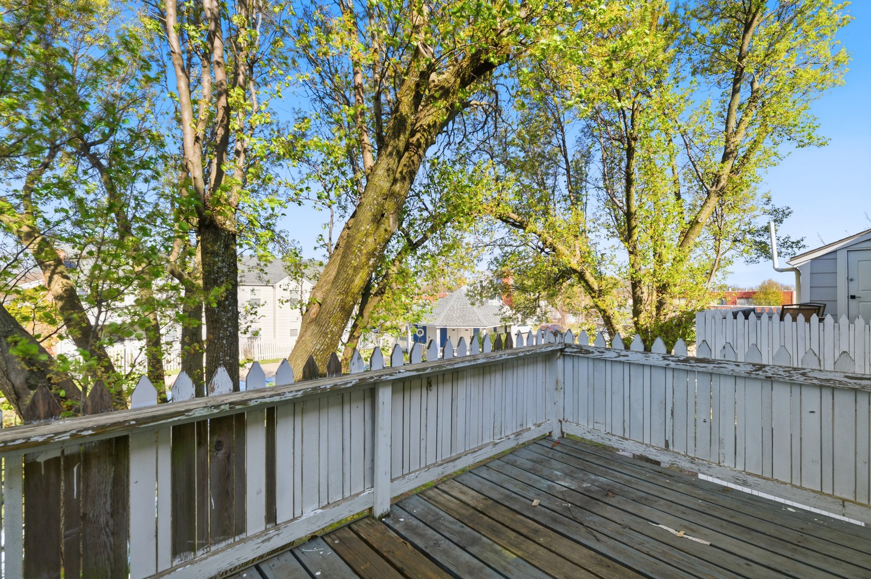 Image for 1717 S Cypress #122