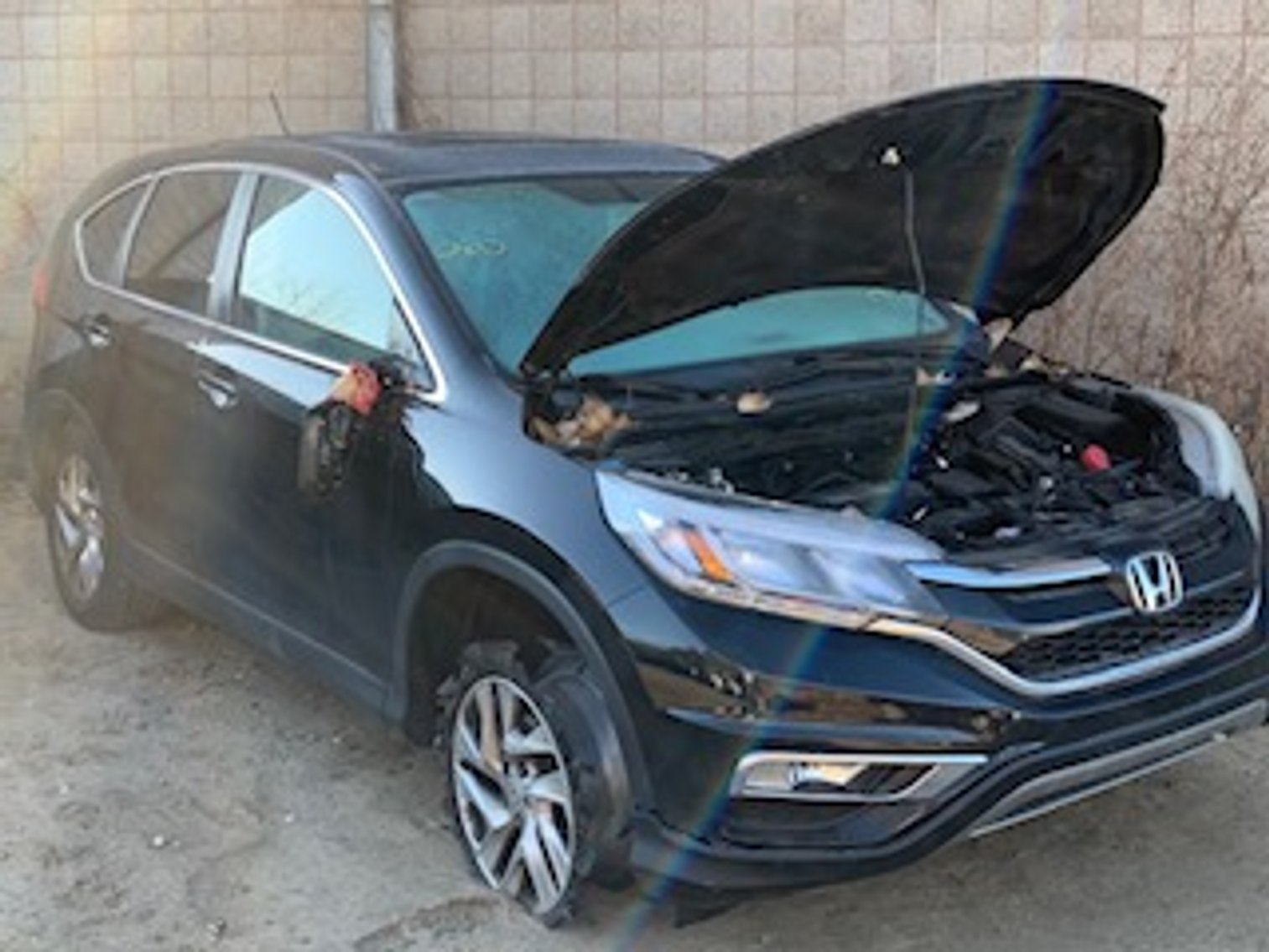 Image for Saint Paul Police Impound