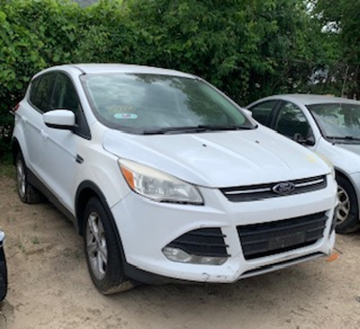 Image for Saint Paul Police Impound