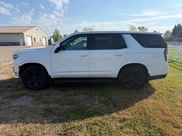 Image for October 2025 Consignments