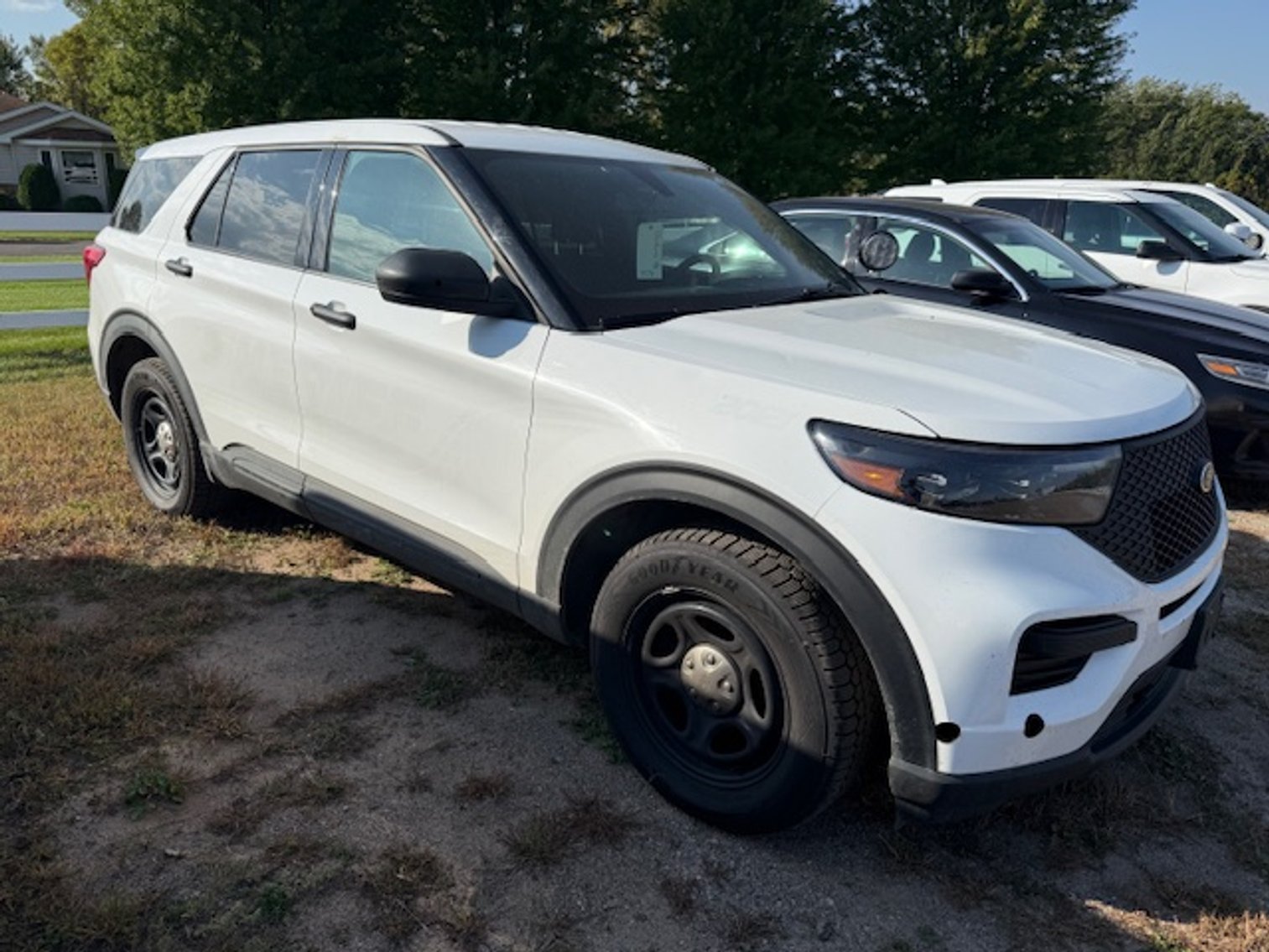 Image for October 2025 Consignments