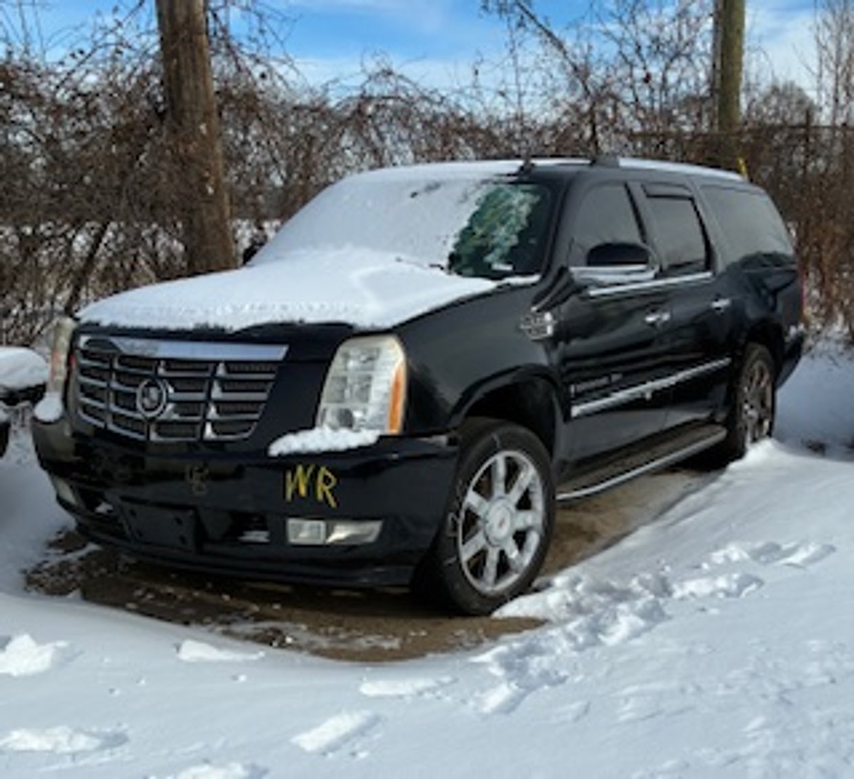 Image for Saint Paul Police Impound