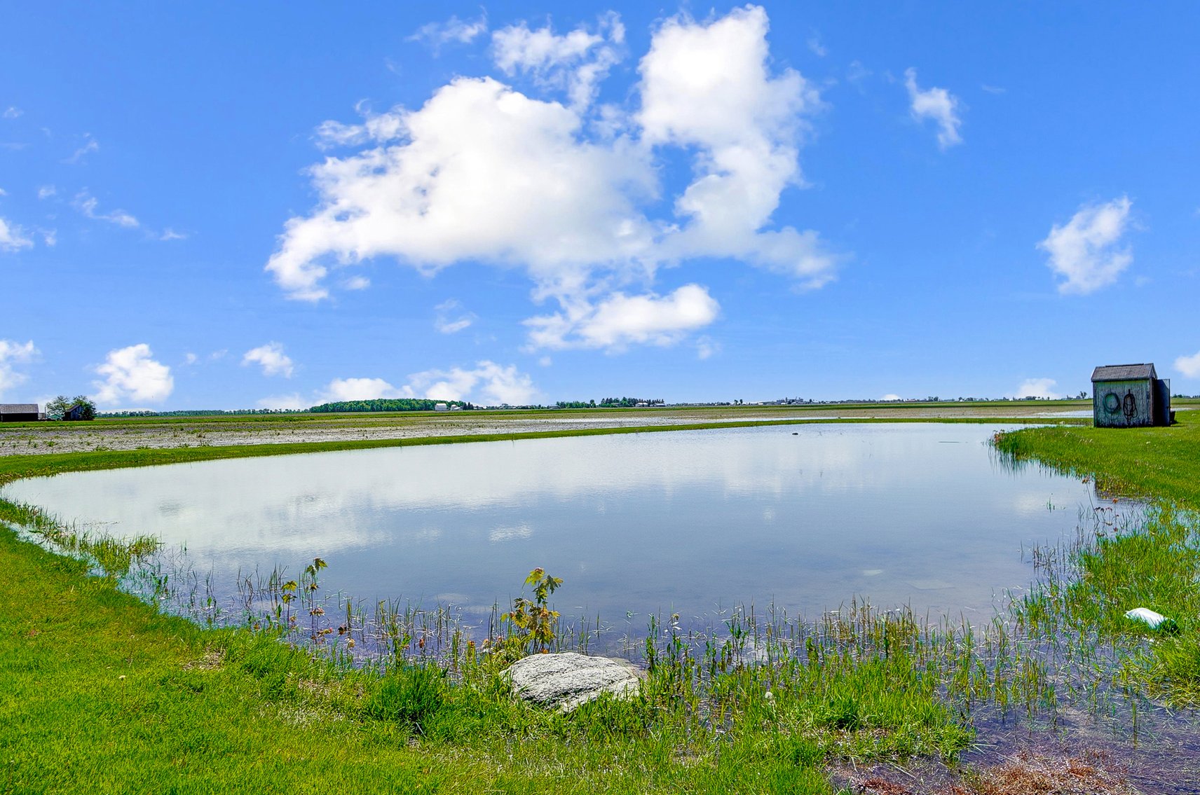 Image for Country Home with Pond and Pole Barn
