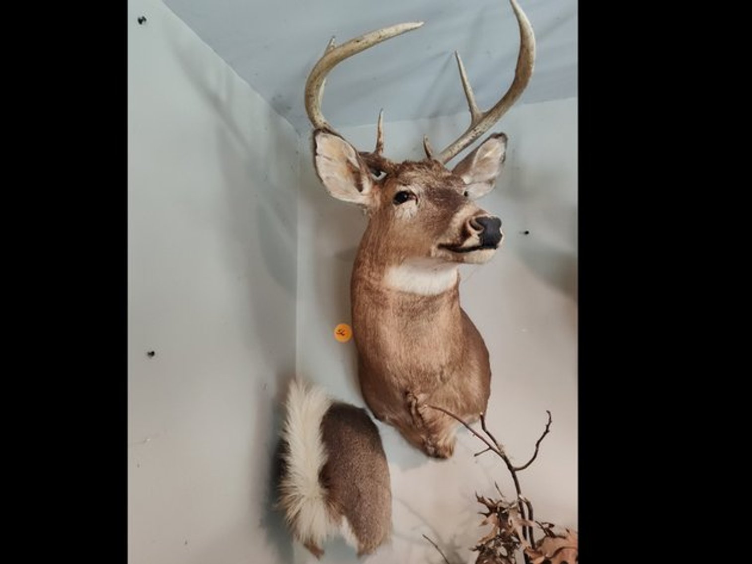 Image for Jerry City Sportsman and Antique Downsizing Auction