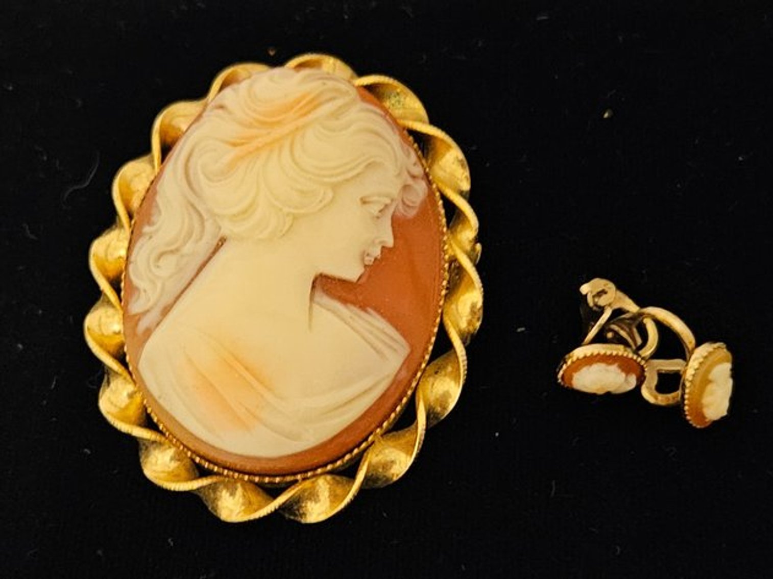 Image for Estate of Samuel J. Bechstein Wood Co. Probate Case # 20231351