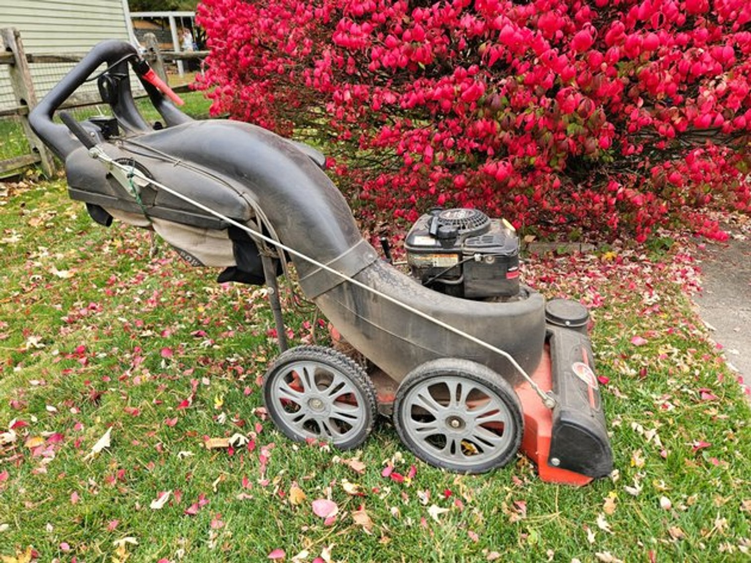 Image for BOWLING GREEN ESTATE AUCTION