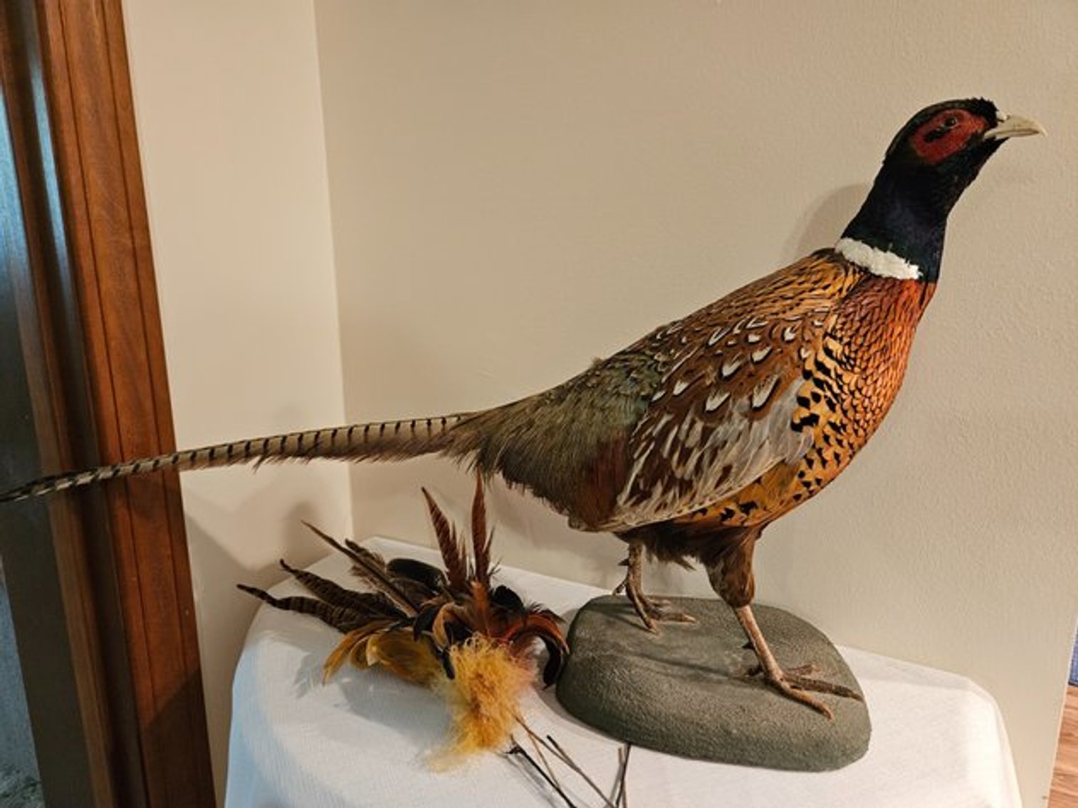 Image for Pemberville Living Estate Auction