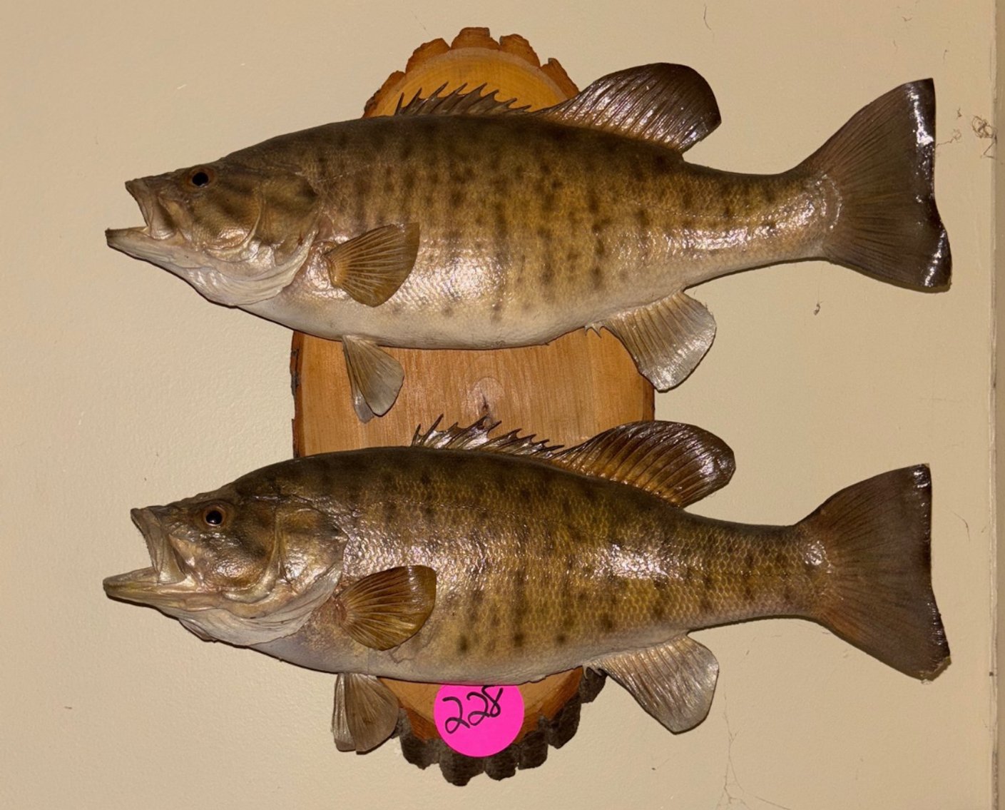 Image for Waldron Living Estate