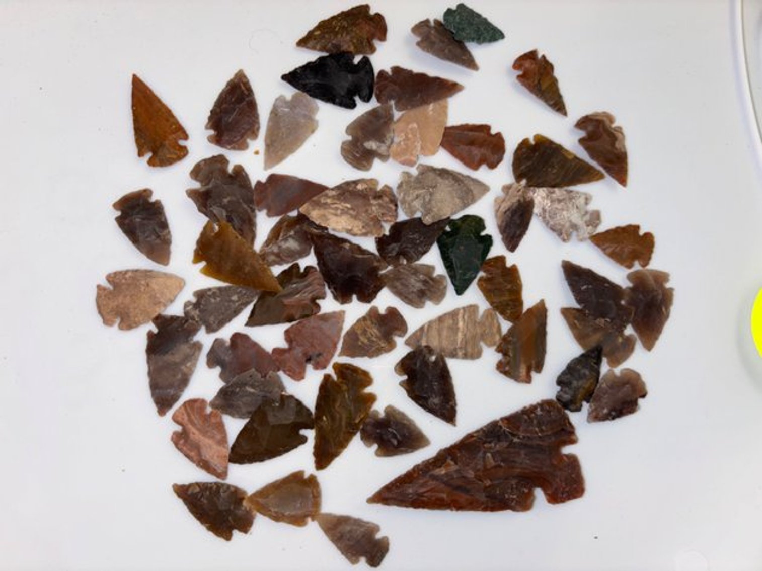 Image for Estate of Beverly L Gerdes