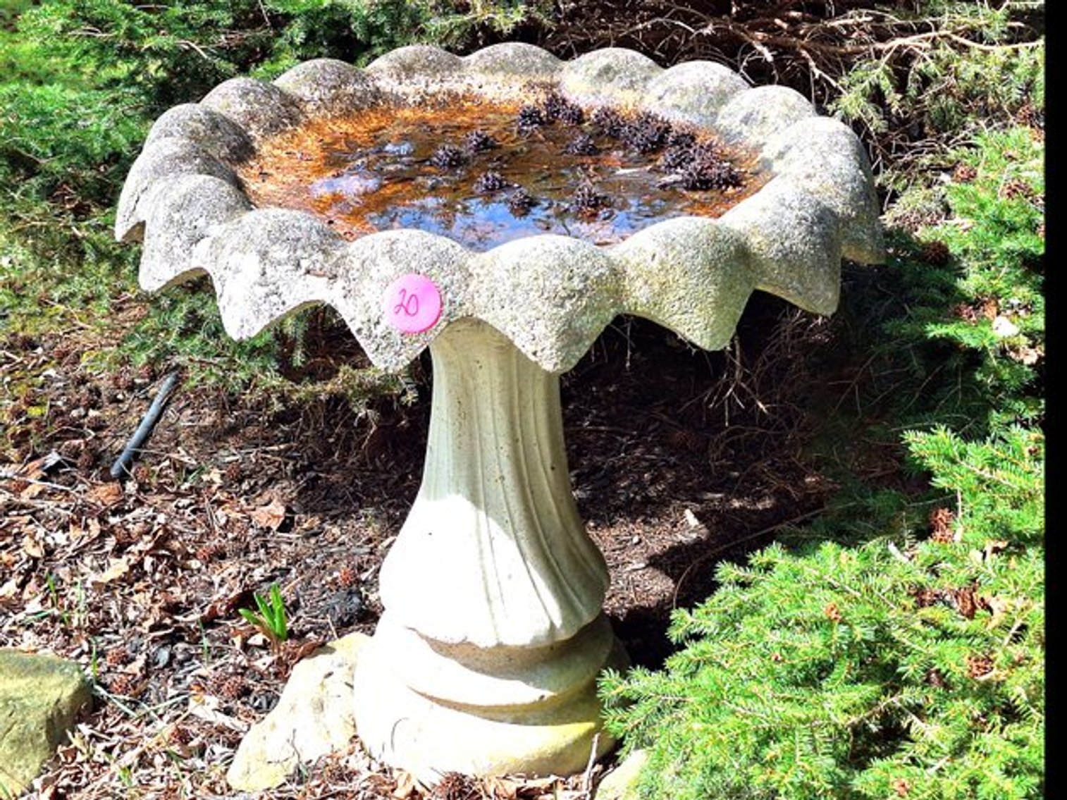 Image for Living Estate of Carol Ehrat