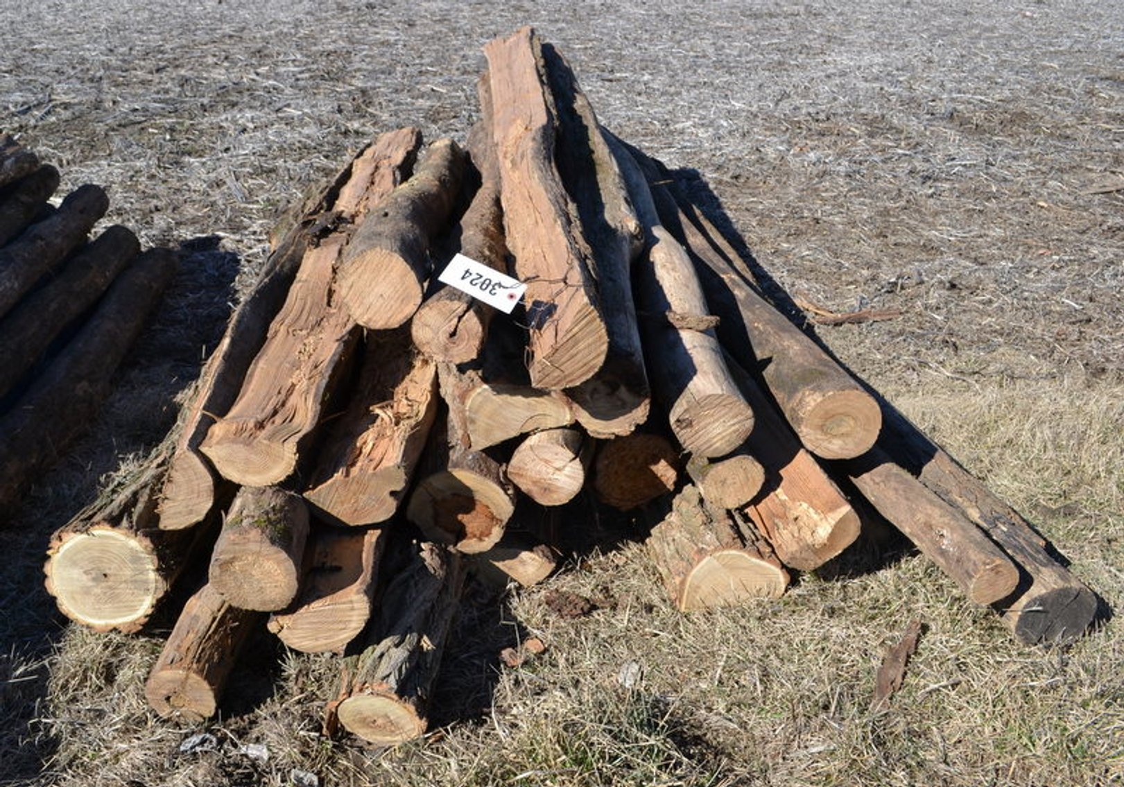 Image for 2023 New Salem Lions Club Auction