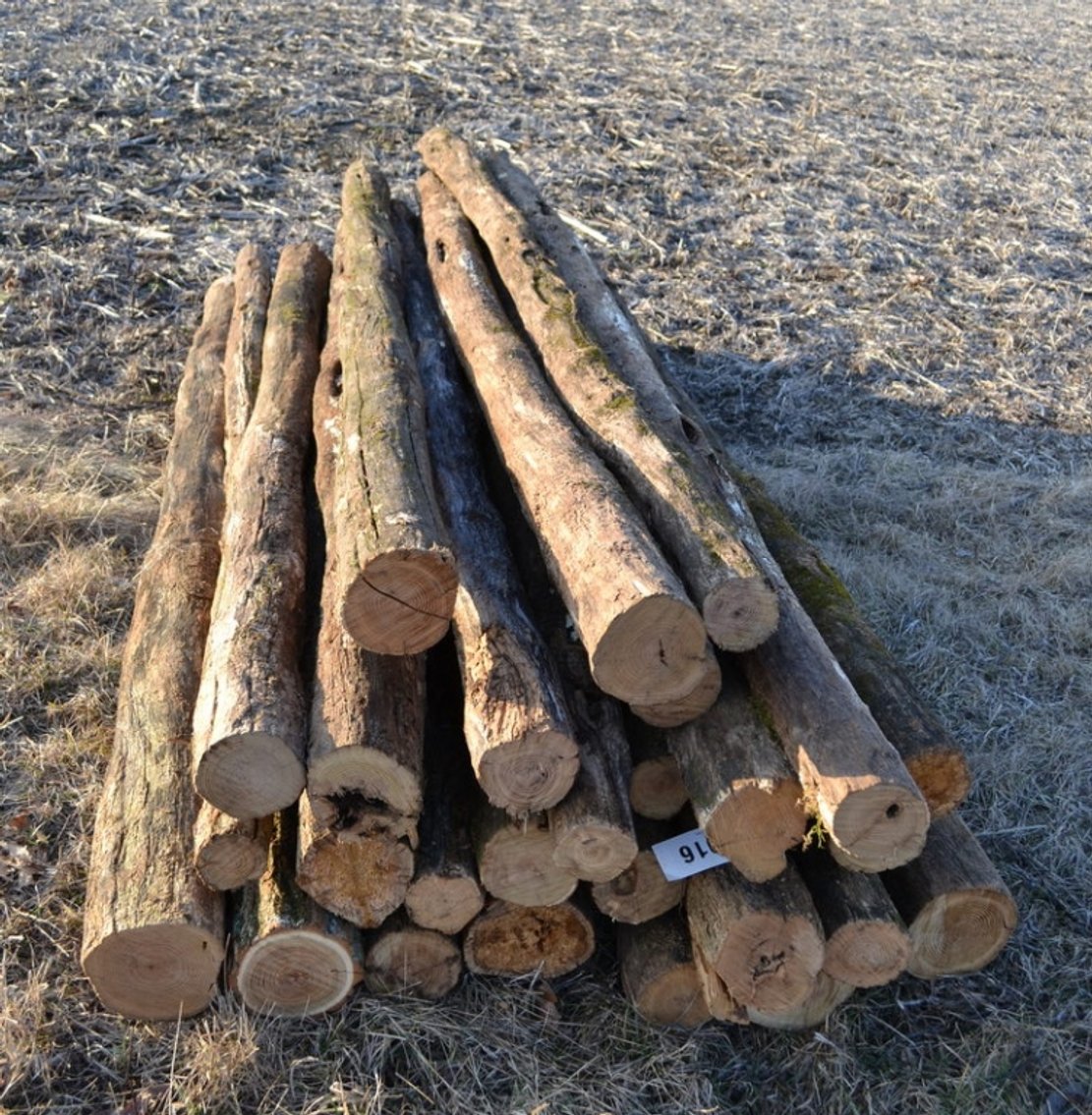 Image for 2023 New Salem Lions Club Auction