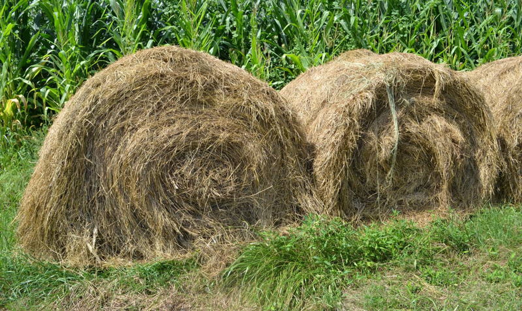 Image for New Salem Lions Club Fall Consignment Sale