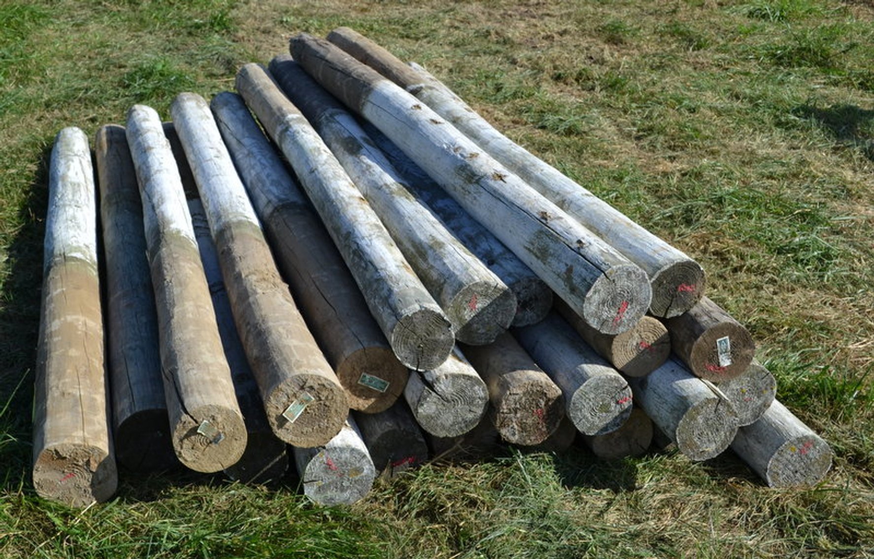 Image for New Salem Lions Club Fall Consignment Sale