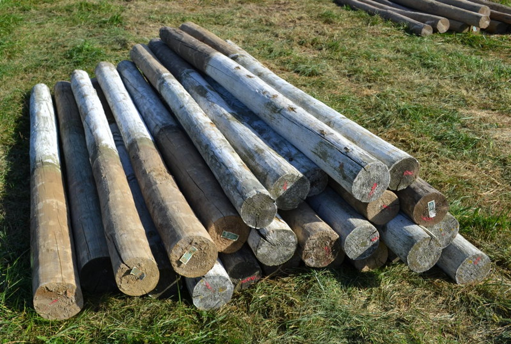 Image for New Salem Lions Club Fall Consignment Sale