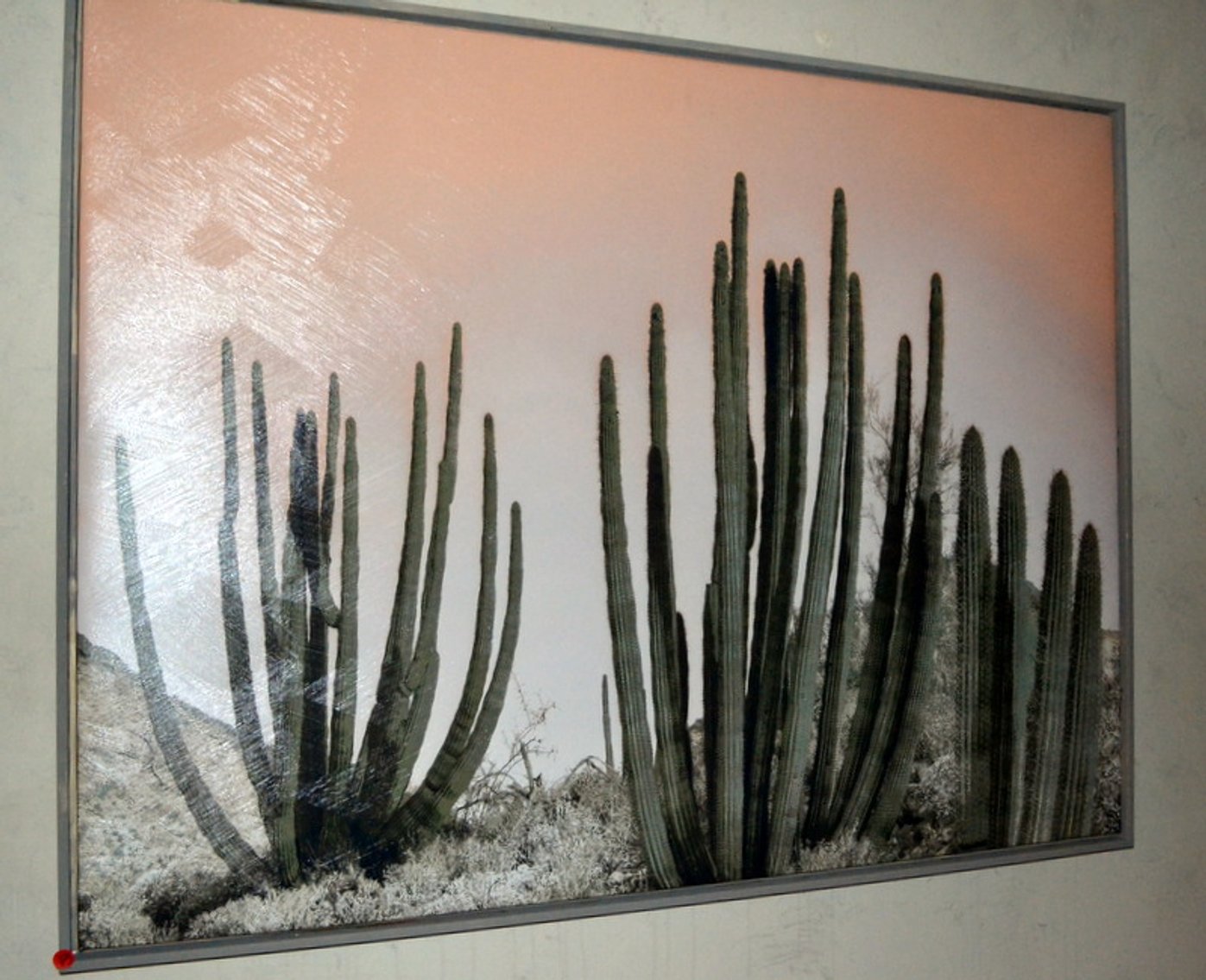 Image for Richie & Jaime Pflum Online Auction