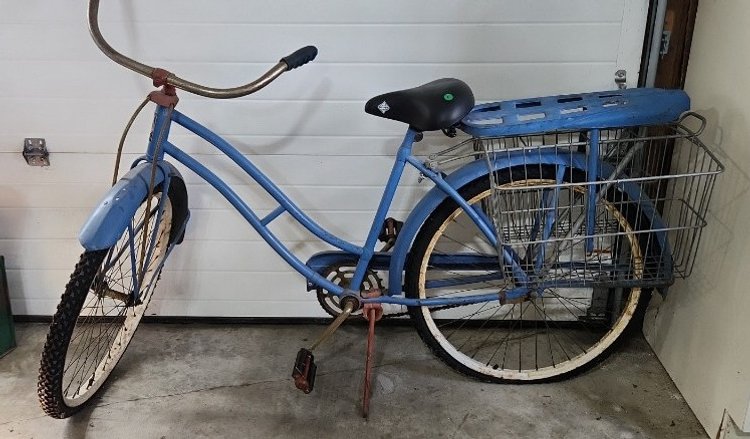 Zook Downsizing Online Auction