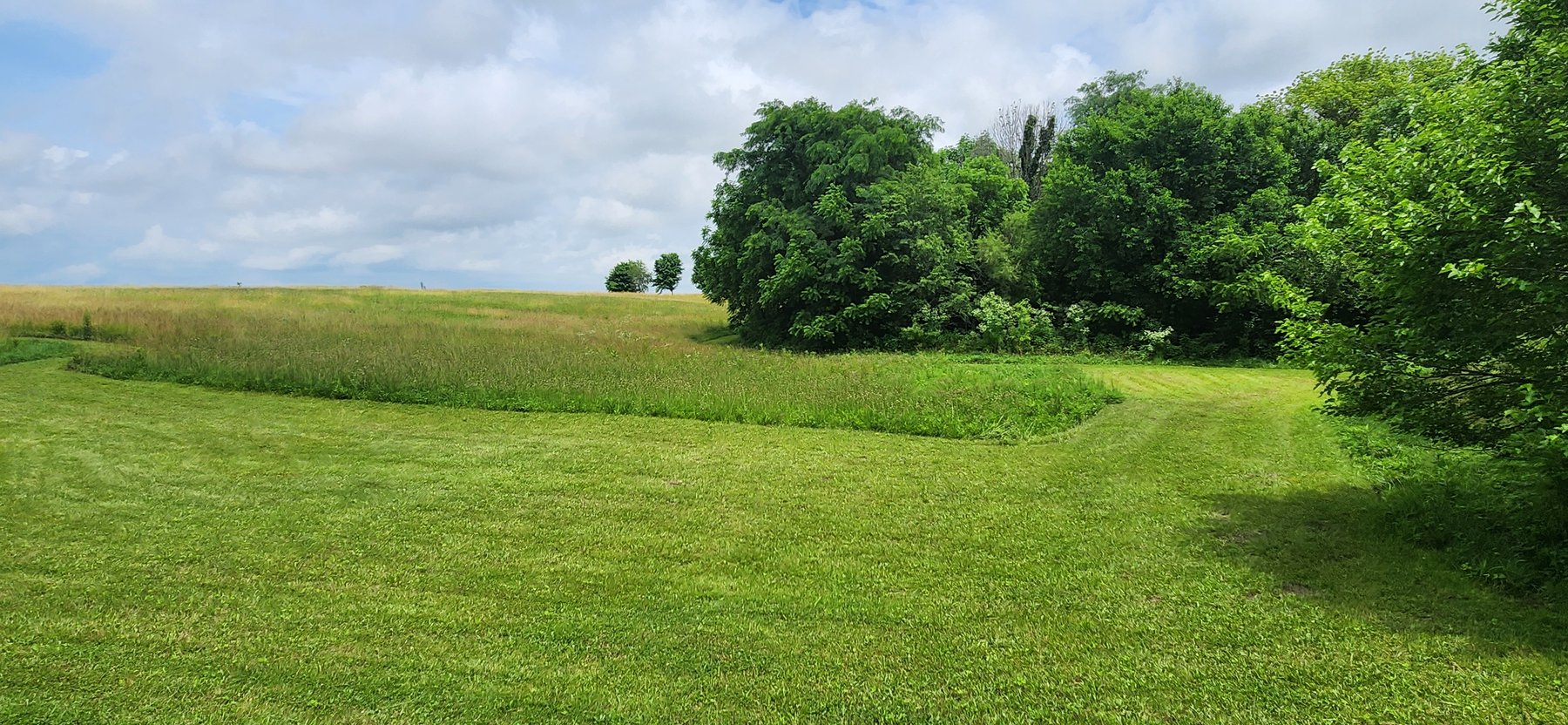 Image for Melvin Kollander Estate Online Real Estate Auction