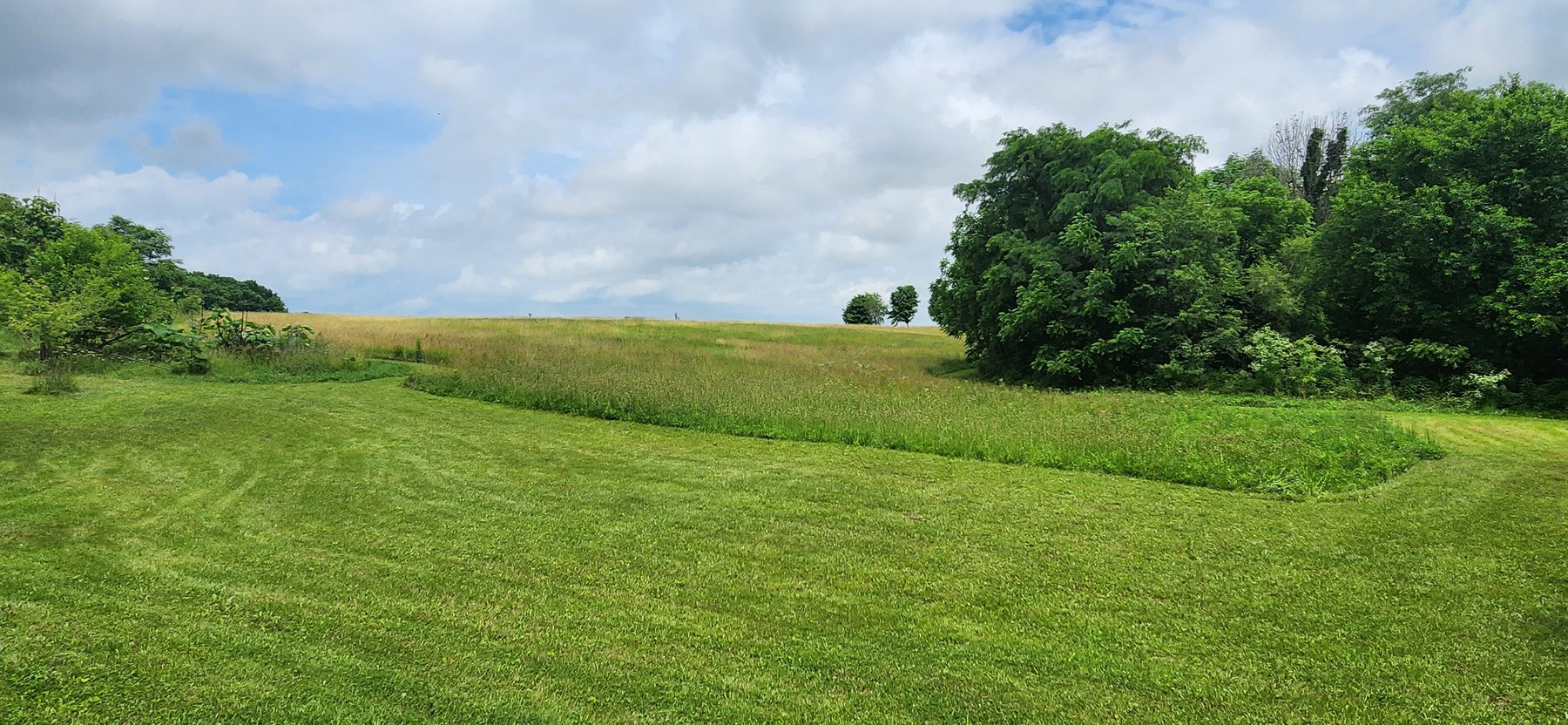 Image for Melvin Kollander Estate Online Real Estate Auction