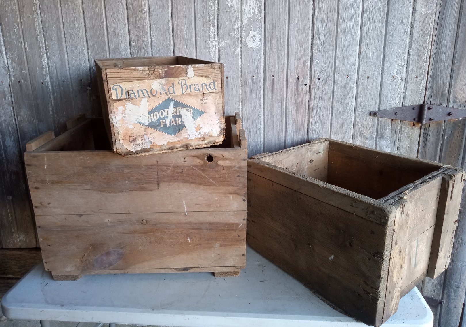 Image for Kent Peacock Estate Online Auction