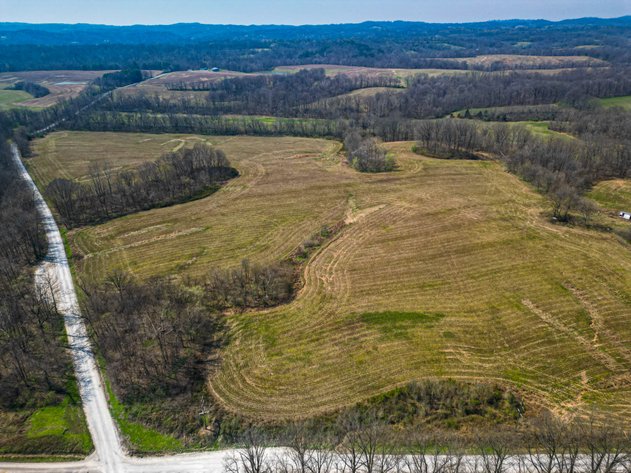 Image for The Wright Family Land Auction