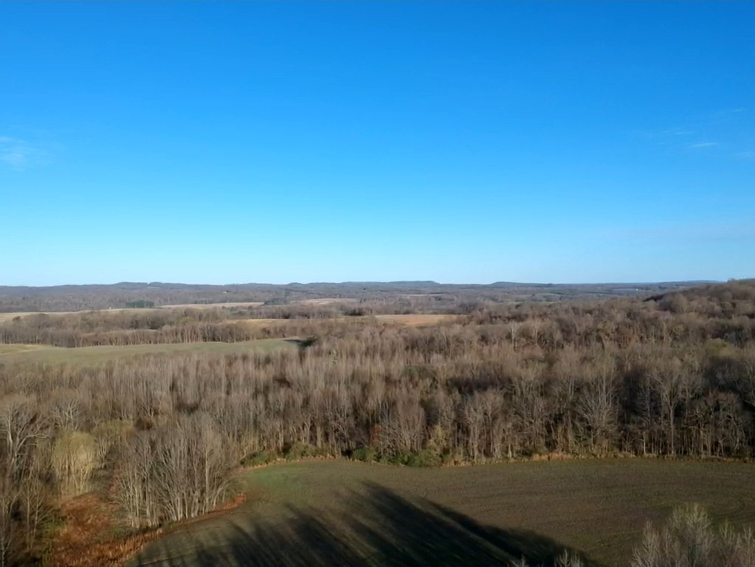 Image for The Wright Family Land Auction